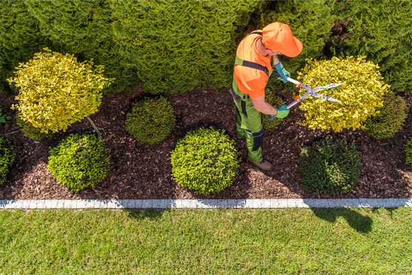Entretien de jardin à Clamart (92) par Dias Jardins Verts